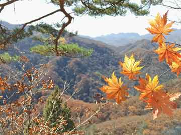 室外健身器材种类介绍及概述